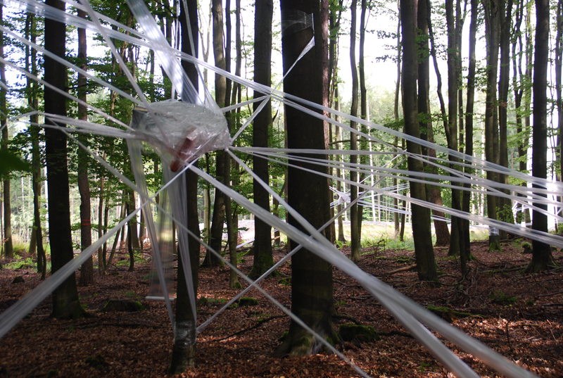 bewegter wind - 026