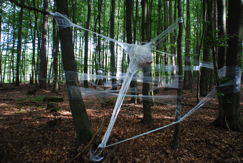 bewegter wind - 034