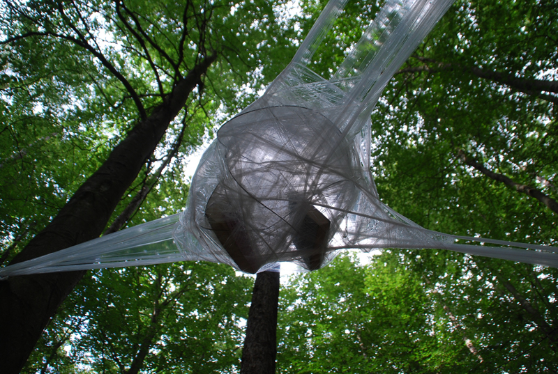 bewegter wind - 042