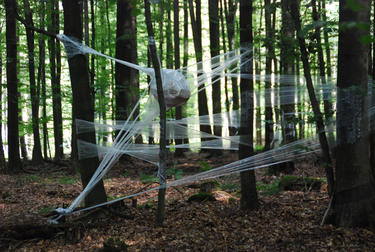 bewegter wind - 051