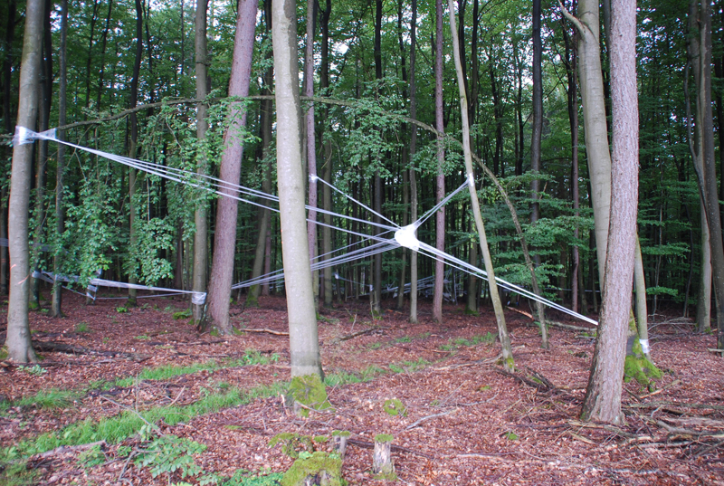 bewegter wind - 081
