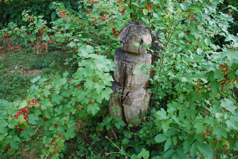 10 GartenMaiEnde