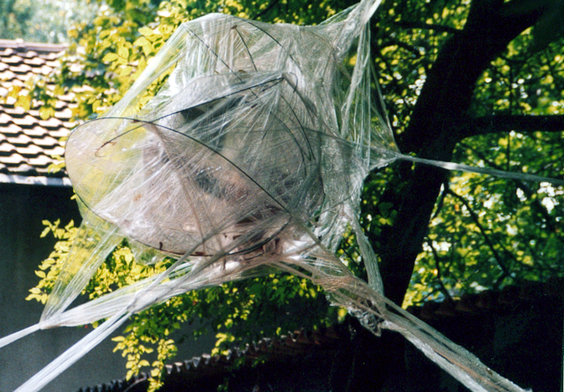 vogelfrei3