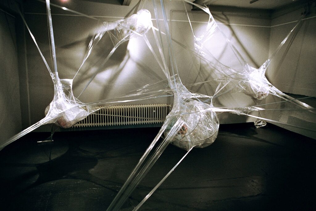 netspace 1