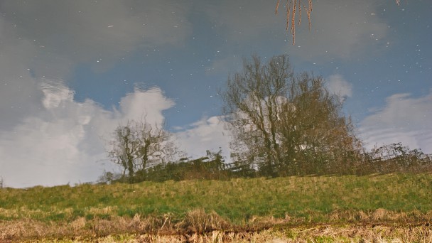 wasserland04_608_342_90